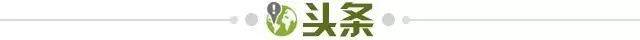 1772063742497092834.jpg Kaiyun Sports-【早报】力拼澳大利亚!女足今日冲击亚洲杯决赛!